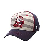 NCAA Oregon Ducks Adult men Americana ZH Cap,Adjustable,Silver/Navy