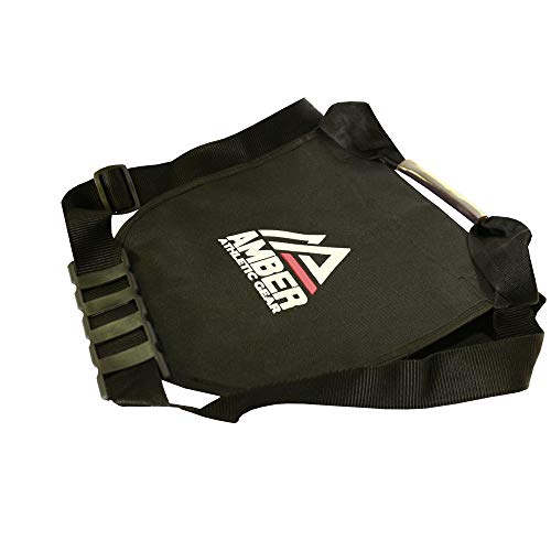 AMBER Athletic Gear Discus & Shot Put Carrier Bag for Track & Field Equipment for 2 Discus or Shots
