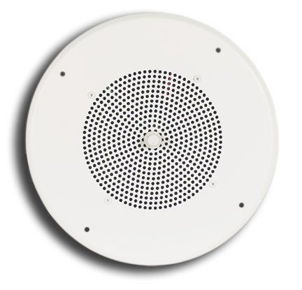 Bogen 4 W RMS Speaker - Off White S810T725PG8W