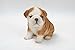 Hi-Line Sitting Bulldog Puppy Figurine,Brown/White, 6.5
