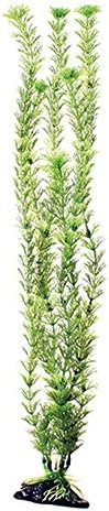 Underwater Treasures Green Cabomba - 20"