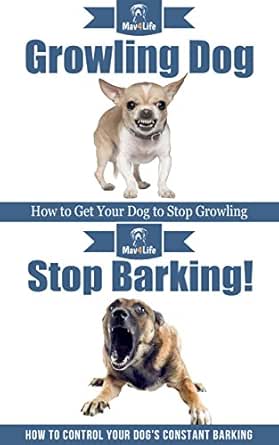 how to get a dog to quit barking