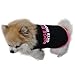 Voberry Pet Dog Puppy Cat Classic Quote T-shirt Doggy Clothes Cotton Shirts (M)