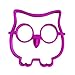 2 Pack Raytyestore Food Grade Silicone Fried Egg Shaper Lovely Purple Owl Shape and Cute Orange Rabbit Shape Egg Ring Pancake Molds