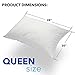 Deluxe Home Gel Fiber Queen Pillow 2 Pack - Hypoallergenic, Extra Plush Down Alternative Bed Pillows - .4 Micro Denier Fill with Microfiber Fabric Shell - Crafted in USA (Extra Soft Value 2-Pack)