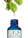 Optimally Organic Red Pine Needle Oil 2oz - Daily Drops for Extreme Immune Support - BioActive Cell & DNA Support - 1290 Drops - 3 to 7 Drops Per Dose -Vegan Body Cleanse - Longevity Oil