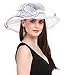 SAFERIN Women's Organza Church Kentucky Derby Fascinator Bridal Tea Party Wedding Hat (YW-White Black Line)