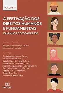 Livro A efetivação dos Direitos Humanos e Fundamentais: caminhos e descaminhos: - Volume 3