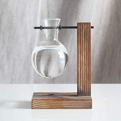 ZAILHWK Plant Terrariums Glass, Plant Containers Flower Vase,Hanging Flower Pots Glass with Retro Solid Wooden Stand and Metal Swivel Holder for Hydroponics Plants Home Garden
