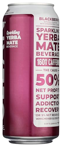 CLEAN CAUSE, YERBA MATE BLACKBERRY ORGANIC, 16 FL OZ