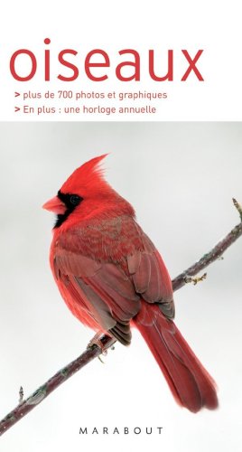 Oiseaux