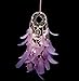 Light Up Dream Catchers for Bedroom Wall Hanging Decorations, LED Dreamcatcher Home Ornaments with 20 LED Lights,Fantasy Gifts for Kids, Caught your Dream (Purple)