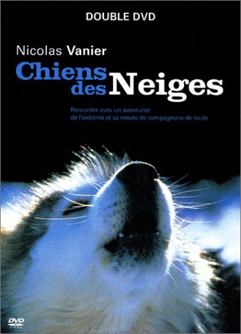 Chiens Des Neiges