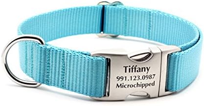 tiffany and company dog collar