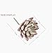 Neomark Assorted Realistic Cute Green Home Garden Faux Artificial Succulent Cactus Plants Unpotted (2