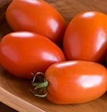 David's Garden Seeds Tomato Paste Amish D3817A (Red) 50 Organic Heirloom Seeds