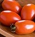 David's Garden Seeds Tomato Paste Amish SL3817A (Red) 50 Organic Heirloom Seeds