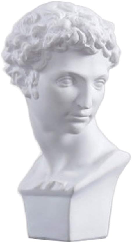 Mini David Head Resin Statue, Small David Giuliano De Medici Bust Figurine Man Sculpture Decor Human Figure Model Michelangelo Design-c 15x8.5cm(6x3inch)