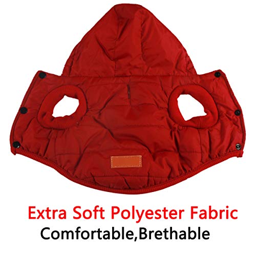 Fleece Lining Extra Warm Dog Hoodie in Winter for Small Dogs