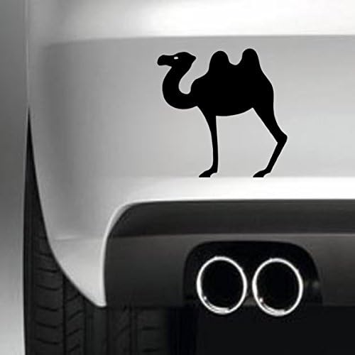 South Coast Stickers Camel STICKER FUNNY BUMPER STICKER CAR VAN 4X4 WINDOW PAINTWORK DECAL EURO LEFT HAND DRIVE