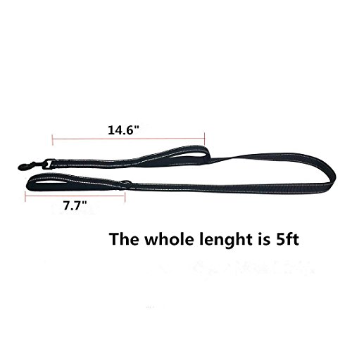 Heavy Duty Dog Leash Reflective,2 Padded Handles,Dog Training Walking Leashes - 5ft Long For Medium to Large Dogs