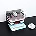 Paper Trays - 2 Tier Stackable Letter Trays - Metal Mesh Desktop Organizer, Office Organizer by Delifox