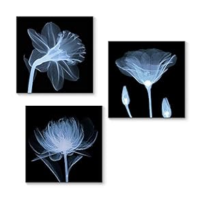 Canvas Wall Art Transparent Beautiful Flowers...