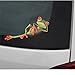 Ieasycan 3D Peep Frog Funny Car Stickers Truck Window Decal Graphics Sticker (8 W By 9 L, Sleeping Beauty)