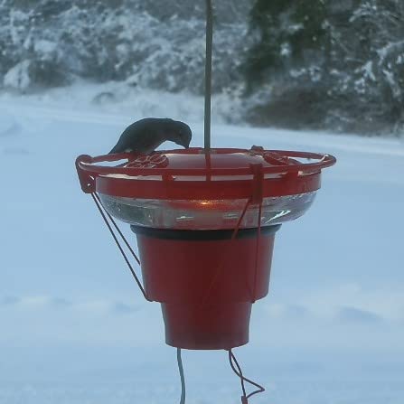 Backyard Bird Centre Hearth Heater