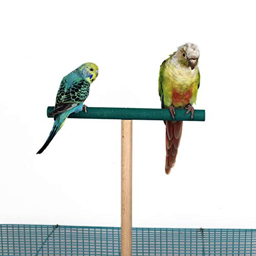 Bird Perch，Parrot Wooden Stand for Cage，Birdcage Play Stand Rack，Cage Toy for Beak Paw Grinding Stick，Natural Beech Branch，Travel Portable Pet Bird Carrier Stand for Parakeets Cockatiel Conure Budgie