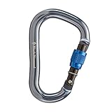 Black Diamond Rocklock Screwgate Carabiner