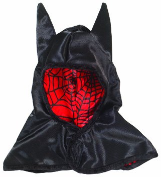 Creative Education's Reversible Bat-Spider Hood