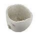 Weathered Finish Sculptural Cement Head Planter