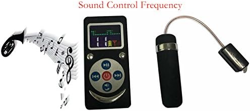 CHYEA Voice Control + Wireless Remote Control (10 modes) Charging sound control vibrating egg Wand Massager Wireless For Any Part Of The Body