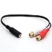 BSHTU 3.5mm Female to Dual RCA Phono Stereo Splitter Cable 3.5 Jack Socket to 2RCA Audio Adapter Extender Cord 8inch/20cm (2RCA Female)