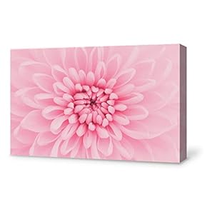 Canvas Wall Art for Living Room,Bedroom Home Artwork Paintings Close-up of Flower Ready to Hang - 12x18 inches