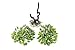 HITOP Aquarium Pets Plastic Plants for Fish Tank Decorations, Artificial Pine Tree Aquarium Décorfor Fish or Reptile