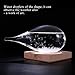 KYMAKE Storm Glass Weather Predictor - Creative Crystal Glass Bottle Desktop Drops Craft Weather Station with Pure Wood Base - High-Class Decoration on Home & Office (Large)