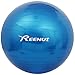 REEHUT Exercise Ball (55cm,65cm,75cm) for Fitness,Anti-Burst Yoga Ball Office Chair,Balance Ball,Extra Thick Stability Ball for Home, Gym,Physical Therapy, Pregnancy Quick Pump Included