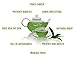 Smart Tea Instant Green Tea Powder - Pure Antioxidant Green Tea - no Fillers, Additives or Artificial Ingredients of Any Kind (2 oz)