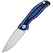 Eafengrow EF33 Folding Knife G10 Handle Ball Bearing Tactical Pocket Knives Outdoor Survival Hunting Camping Tools (Blue stripes)