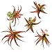 5 Pack Red Abdita Tillandsia Air Plants - Medium Air Plant Variety Pack - 30 Day Guarantee House Plants - Succulents - Free Air Plant Care Ebook by Jody James primary