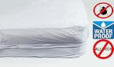 Deluxe® 100% Vinyl Mattress Cover, Zipper Style, 100% Waterproof & Bed-Bug Proof, & Hypoallergenic - In Queen Size (Queen Size (80