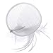 Valdler Halloween Costume Feather Net and Veil Fascinator Hair Clip Hat Hair Accessories Clip for Festival Party White