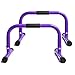BodyRock Mini Dip Bar Station: Challenger Mini Parallette Bars for Dips & Calisthenics - Parallel Bars to Build Core Strength, Balance & Tricep, Arm & Shoulder Muscles - Fitness Equipment for Home Gym