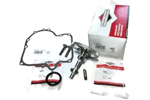 OUTDOOR POWER DEALS Kit for Some Briggs and Stratton Camshaft 84005207 Includes 697110 Crankcase Gasket 795387 Oil Seal Made in The USA