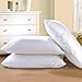 100% Cotton Pillow Queen Size 20x30 500 thread count , Hotel Goose Down Alternative Pillow with , Super Soft Ultra Plush, Adjustable Loft, Side Sleeper