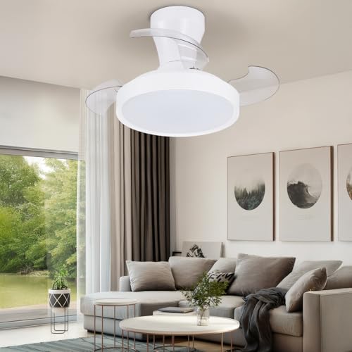 activeallbrite Ceiling fan with light, DC motor, 38W, 6 speeds, retractable blades, 3000K-6500K, summer-winter function, timer, Ø55cm.