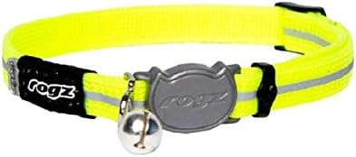 black poodle puppies for sale near me