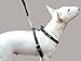 Real Leather Dog Walking Harness Medium Black, 21